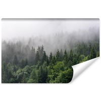 Fotobehang - Bomen in de mist, Bos, groen/grijs, Vinyl behang, 11 maten, Premium Print, inclusief behanglijm, eenvoudig aan te brengen