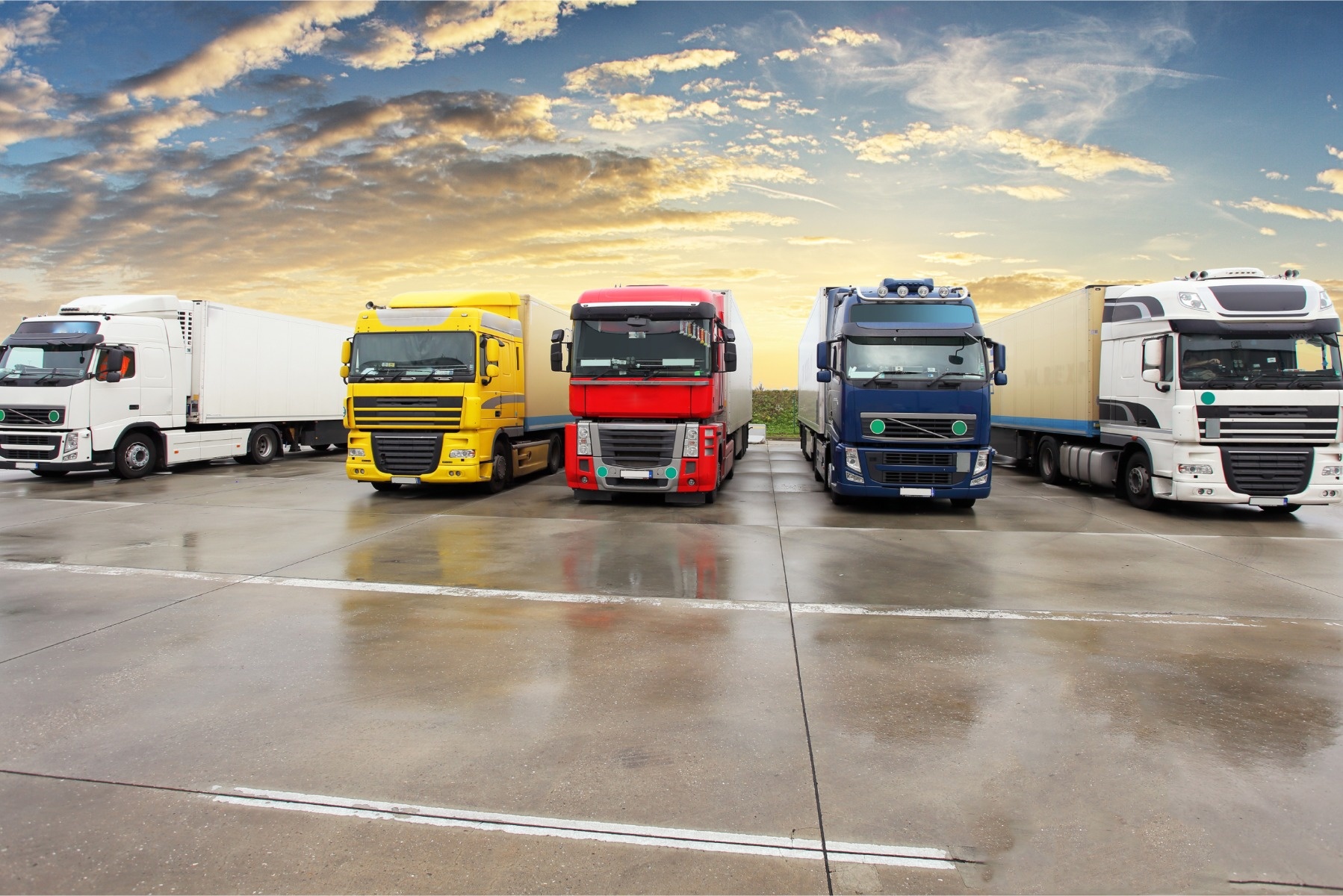 Fotobehang - Kleurrijk Vrachtwagenpark, Trucks, 11 maten, inclusief behanglijm