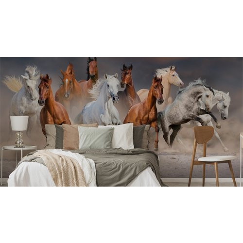 Fotobehang - Kudde galopperende paarden, 11 maten, premium print, inclusief behanglijm