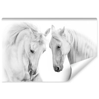 Fotobehang - Twee Schimmels, Paarden, zwart/wit, premium print, inclusief behanglijm