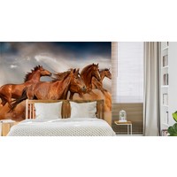 Fotobehang - Galopperende Paarden in de Woestijn, 11 maten, premium print, inclusief behanglijm