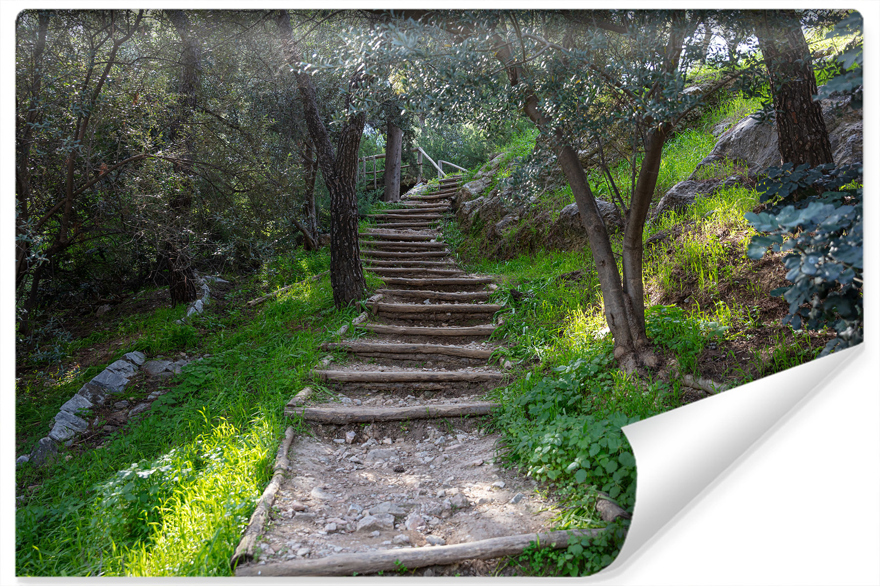 Photo wallpaper Stairway in the Woods 3D Non-woven 104 x 70.5 cm FT-3413-VEM