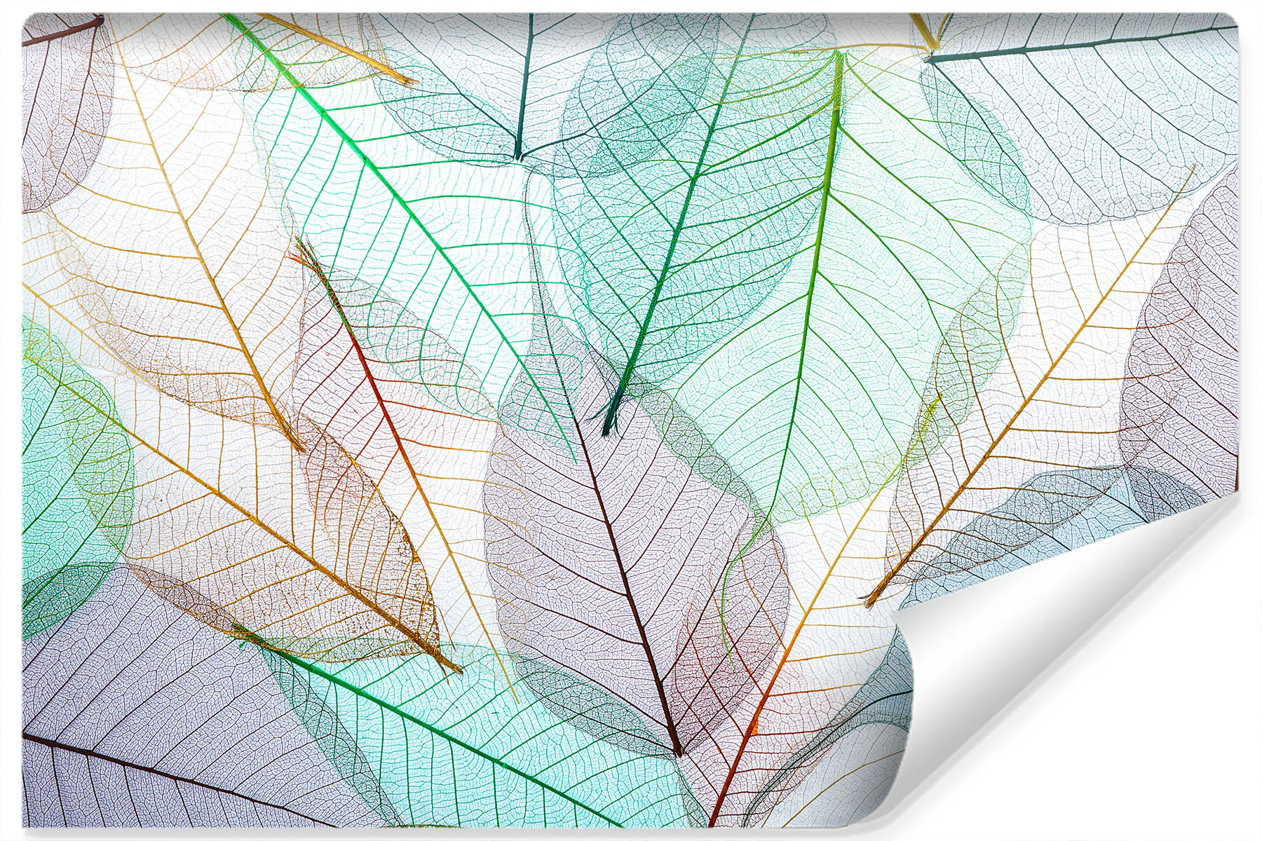 Photo wallpaper Colourful translucent leaves Non-woven 104x70,5 cm FT-3608-VEM