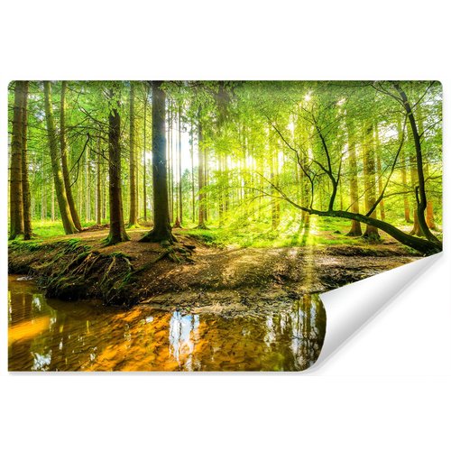 Fotobehang - Mooi boslandschap in de lente, 11 maten, verwen je muren, incl behanglijm, Premium Print