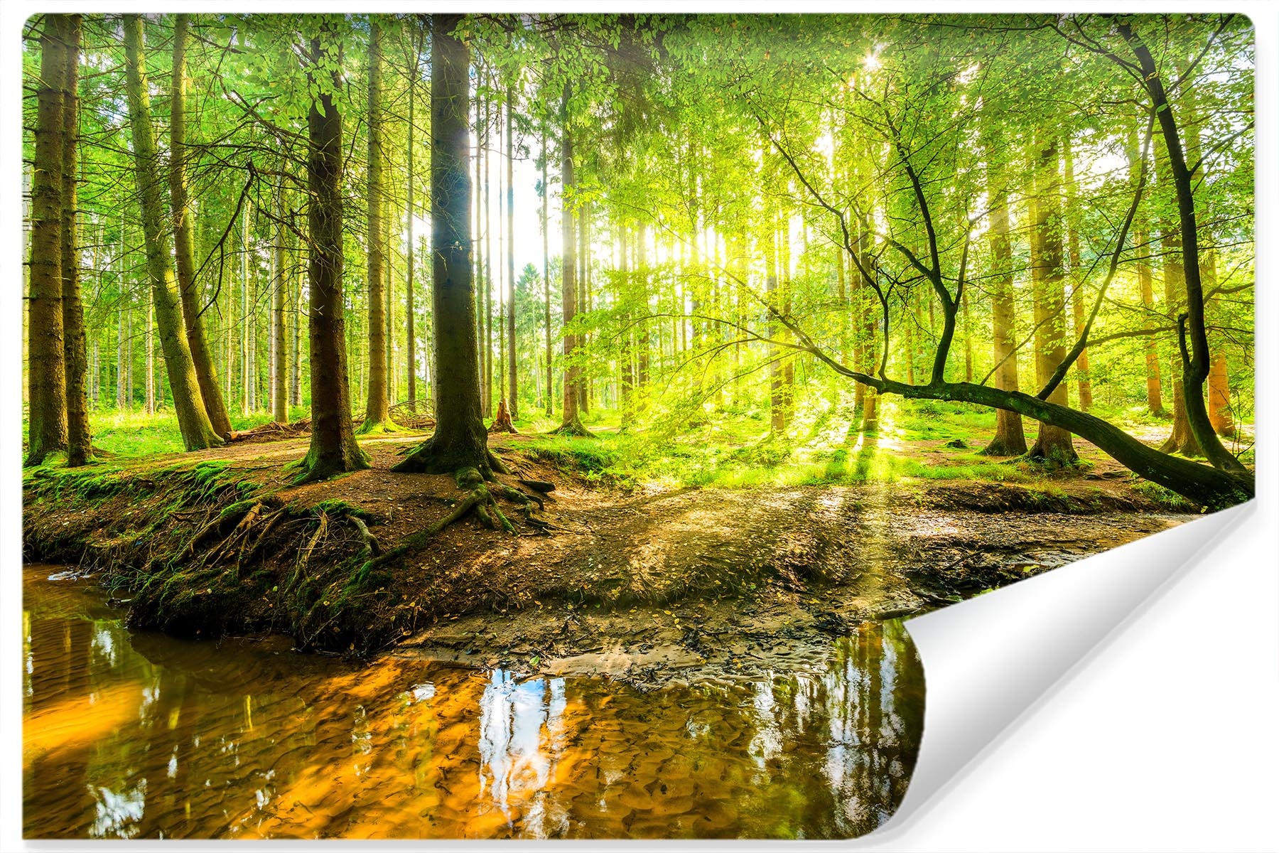 Photo wallpaper Beautiful forest landscape in spring in 3d effect Non-woven 104 x 70.5 cm FT-3814-VEM