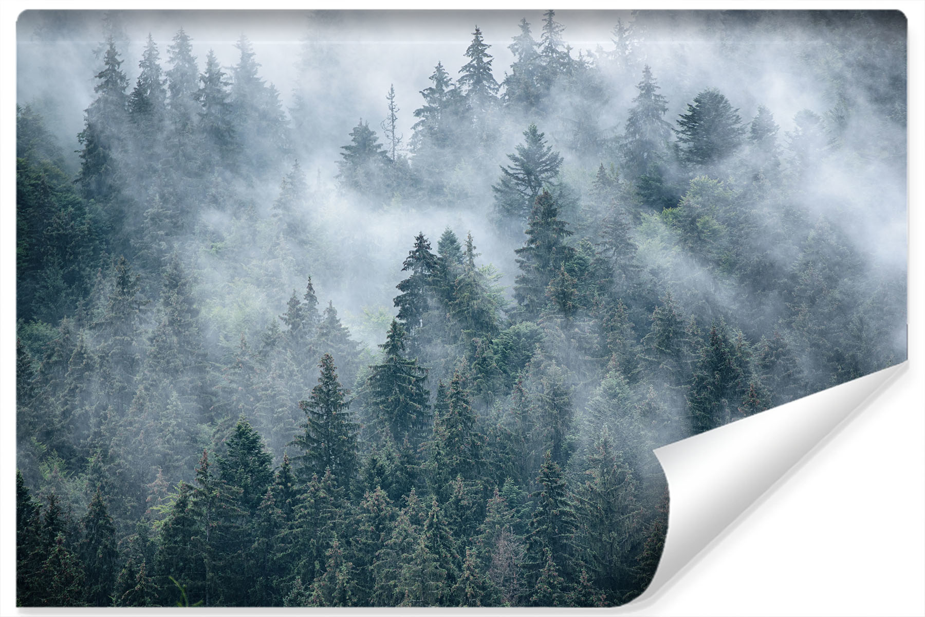 Fotobehang - Mistig bos, premium print, inclusief behanglijm afbeelding