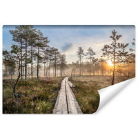 Fotobehang - Houten pad door het bos, premium print, inclusief behanglijm