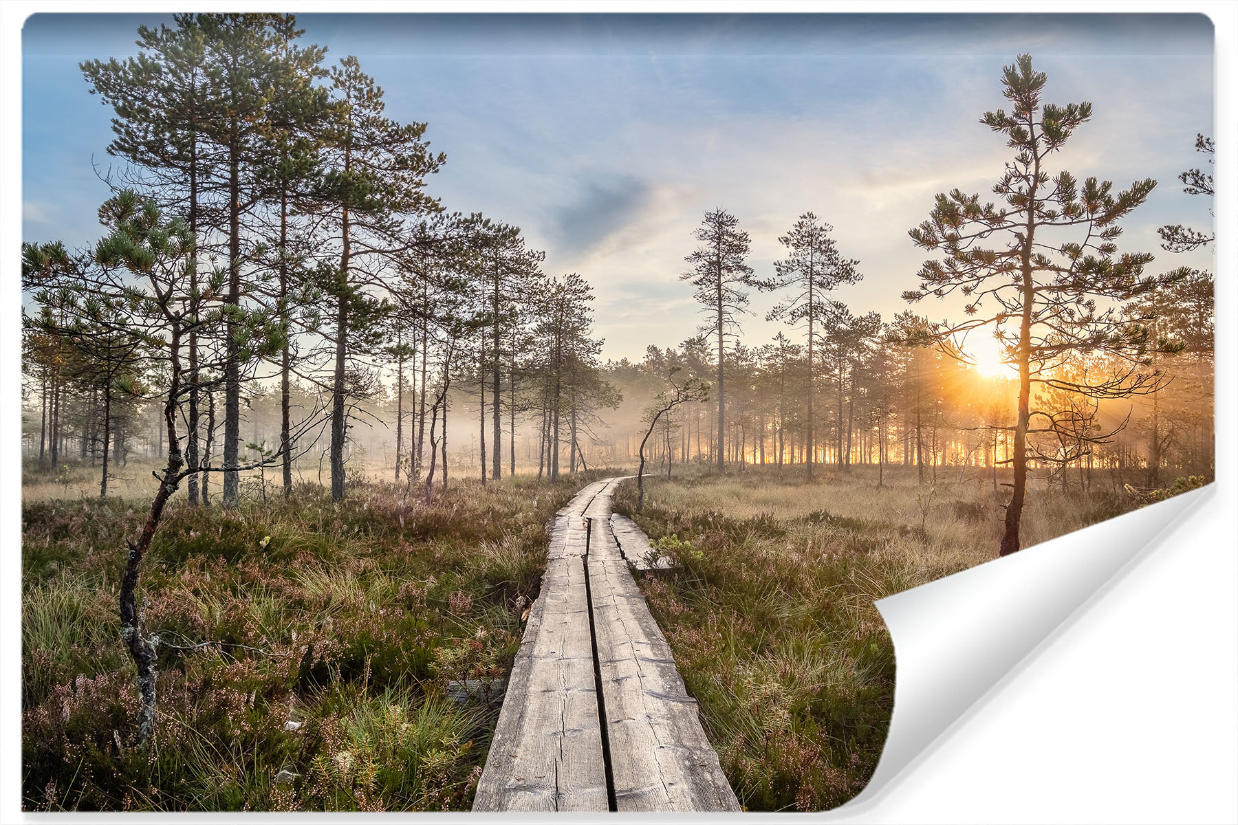 Fotobehang - Houten pad door het bos, premium print, inclusief behanglijm