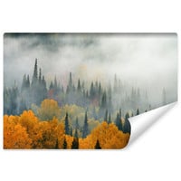 Fotobehang - Mist in herfstbos, premium print, inclusief behanglijm