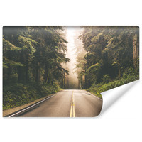Fotobehang - Weg door het bos, premium print, inclusief behanglijm