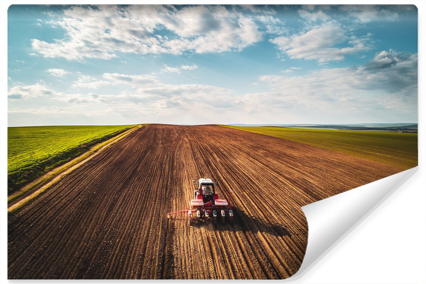 Fotobehang - Landbouw, premium print, inclusief behanglijm afbeelding