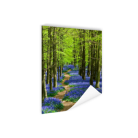 Poster - Blauw Pad door het Bos, Premium Print Karo-art Poster - Blauw Pad door het Bos, Premium Print