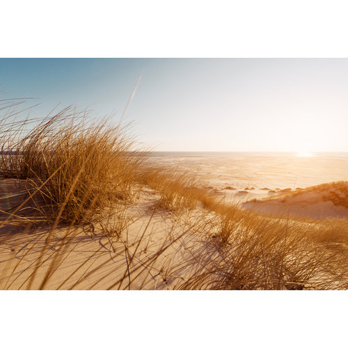 Karo-art Poster - Zicht vanuit de Duinen, Prachtige Noordzee, Premium Print