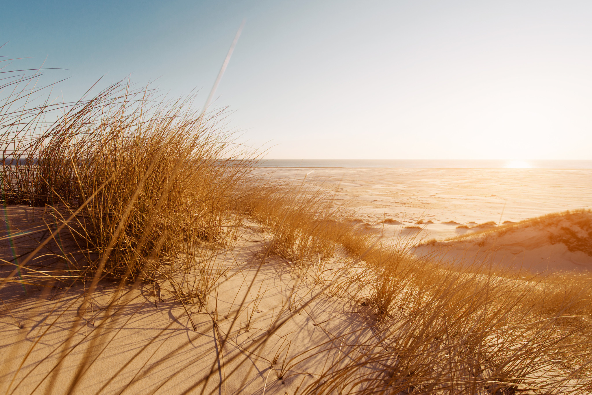 Poster - Zicht vanuit de Duinen, Prachtige Noordzee, Premium Print afbeelding