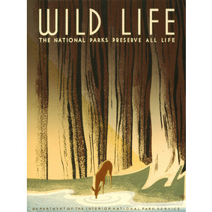 Karo-art Poster - Wild Life, 1936 originele poster,  50x70cm, Premium Print, Verpakt in stevige kartonnen rolkoker