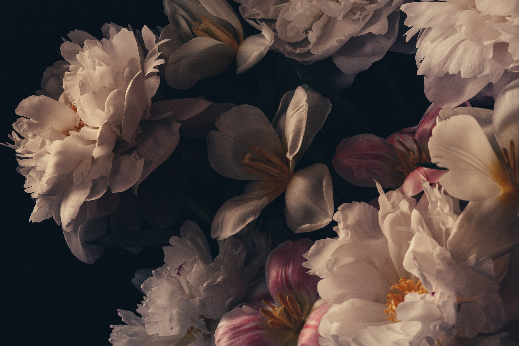 Schilderij - Barok Stijl Bloemen, premium Print, Wanddecoratie, Stevig verpakt