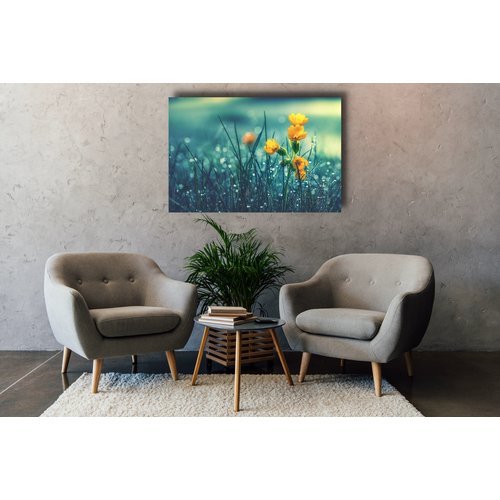 Karo-art Schilderij - Gele bloemen in het veld, Dauwdruppels, Premium Print, wanddecoratie