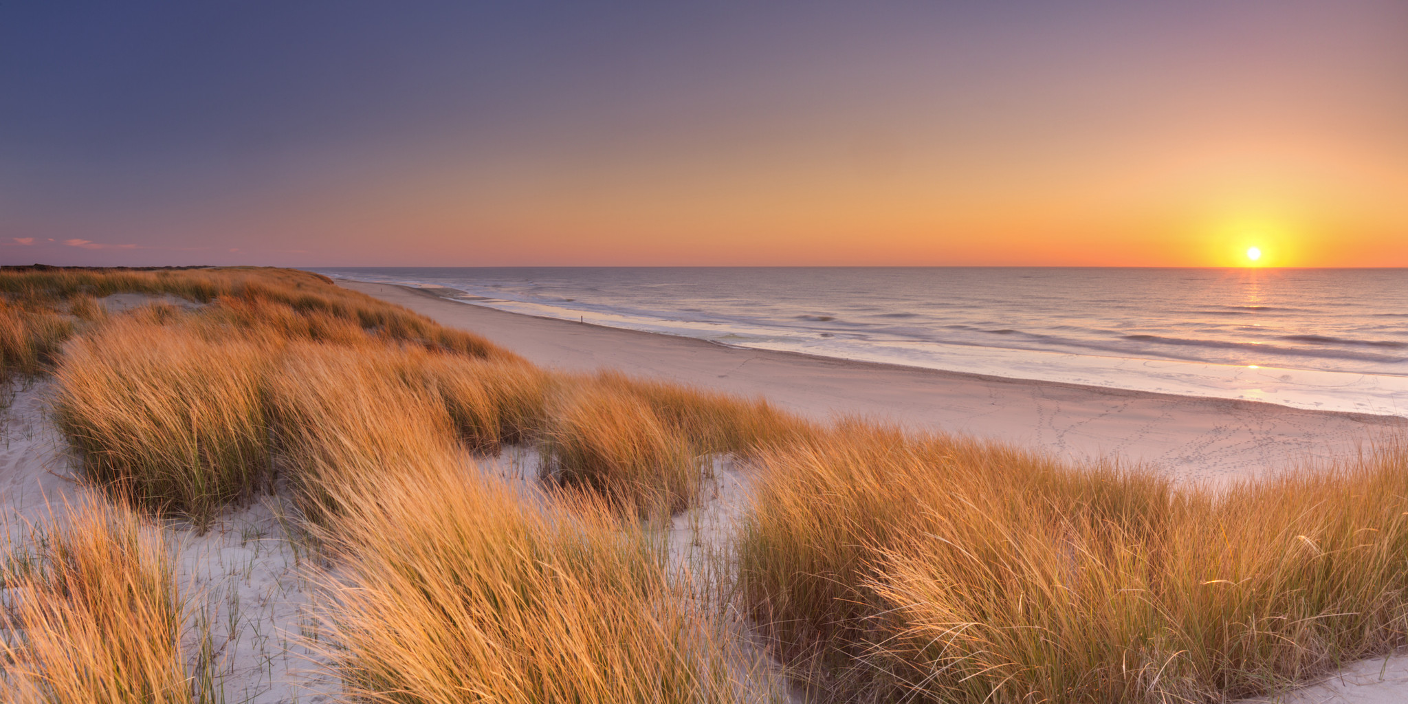 Schilderij - Zonsondergang op Texel, Noordzee , 2 maten , Premium Print, Oranje, blauw, Prachtig duinlandschap met uitgebreid zicht op de Noordzee, Woon- en slaapkamer afbeelding