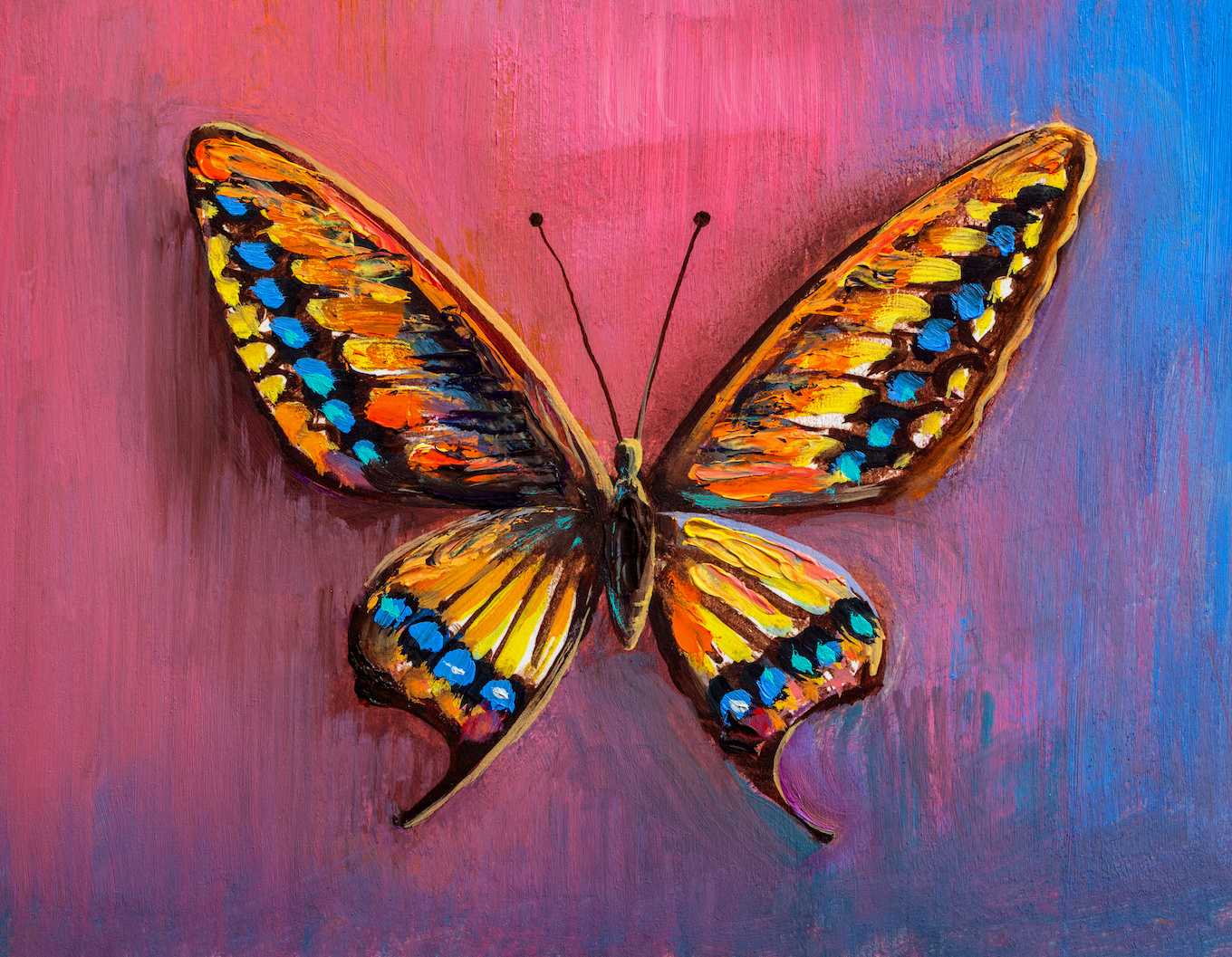 Schilderij - Vlinder in kleuren (op canvas geprint olieverf schilderij) , 3 maten, Multikleur , Wanddecoratie, voor slaap- en woonkamer, afbeelding