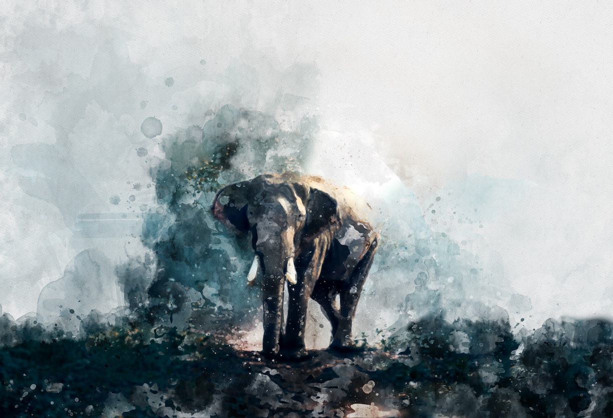 Schilderij - aquarel olifant (op canvas geprint), 2 maten , Multikleur , Premium print