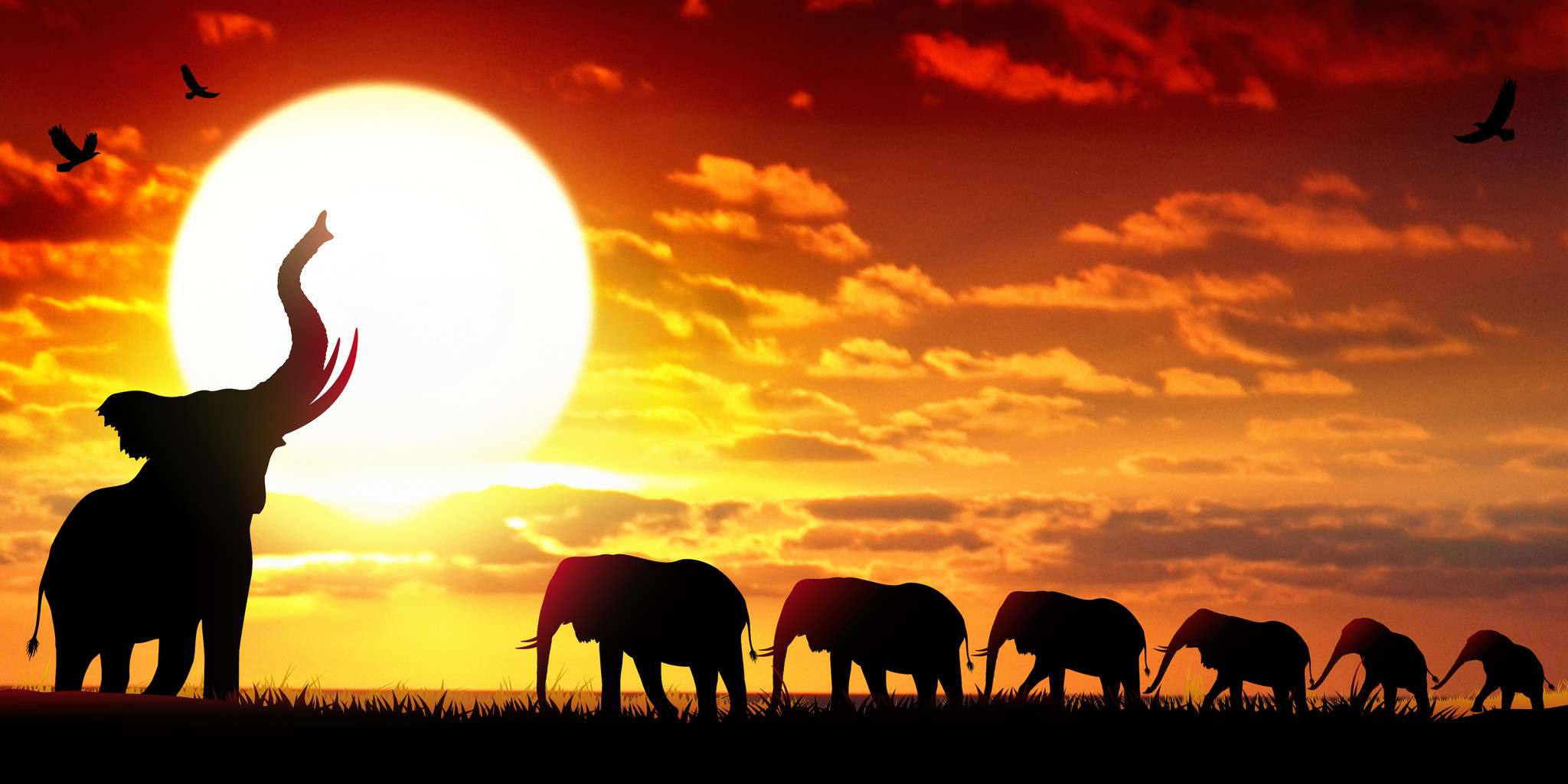 Schilderij - Kudde olifanten bij zonsondergang , Oranje geel bruin , 2 maten , Wanddecoratie afbeelding