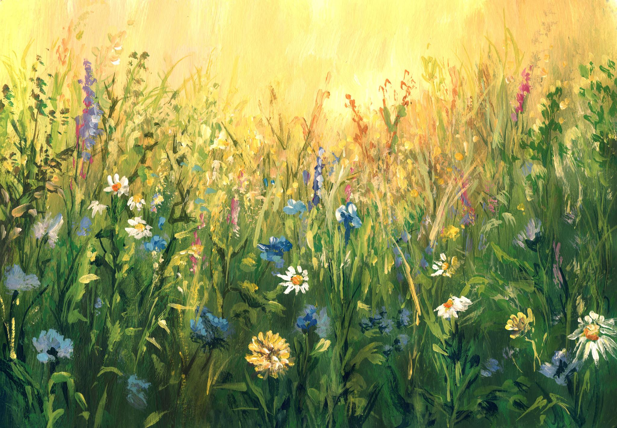 Schilderij - Zomer weide (print van aquarel) , Groen geel , 2 maten , Premium print afbeelding