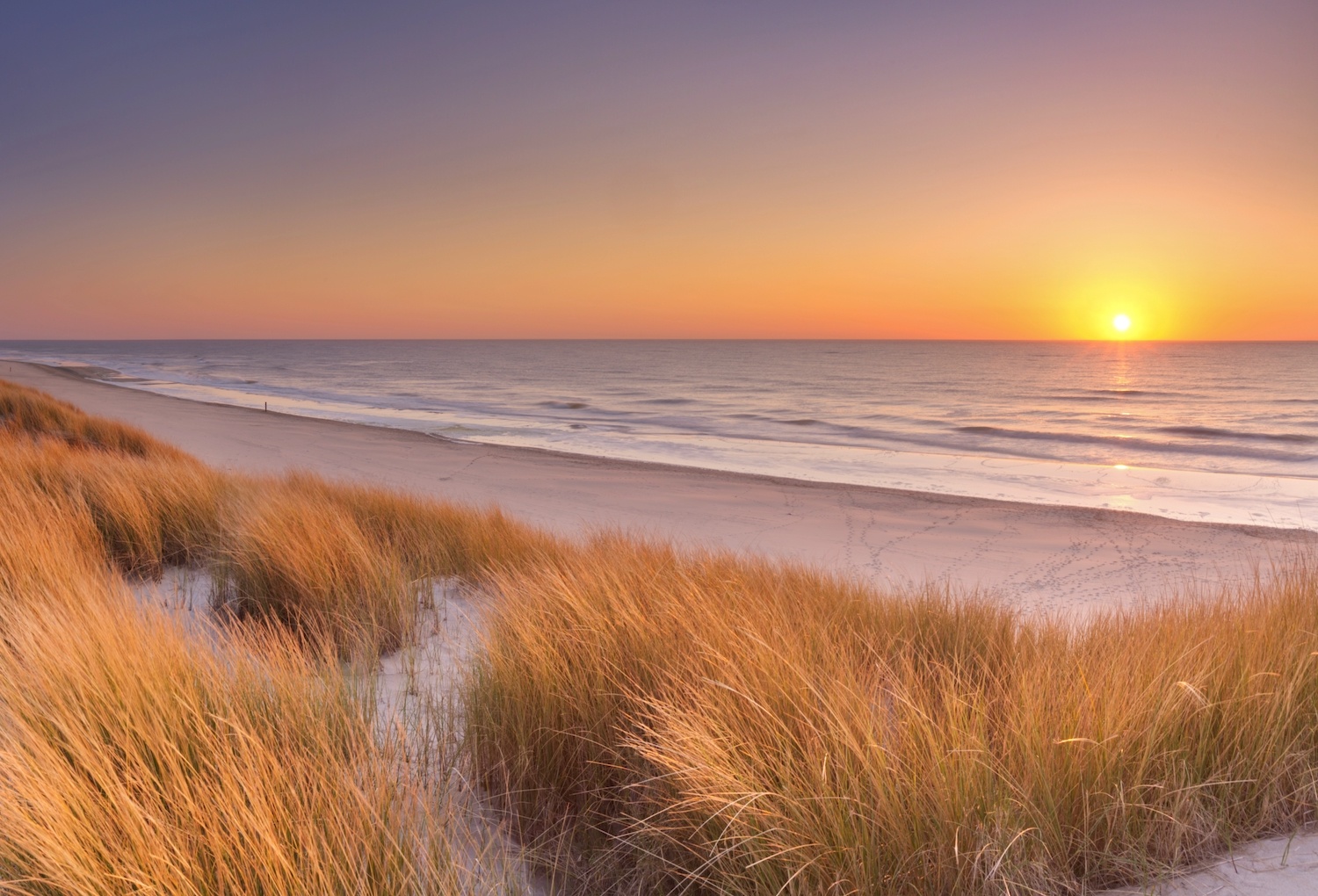 Schilderij - Duinen en strand bij zonsondergang op Texel , Multikleur ,2 maten , Premium print afbeelding