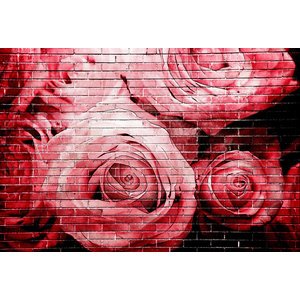 Karo-art Schilderij - Rode rozen op bakstenen muur , Multikleur , 2 maten , Premium print