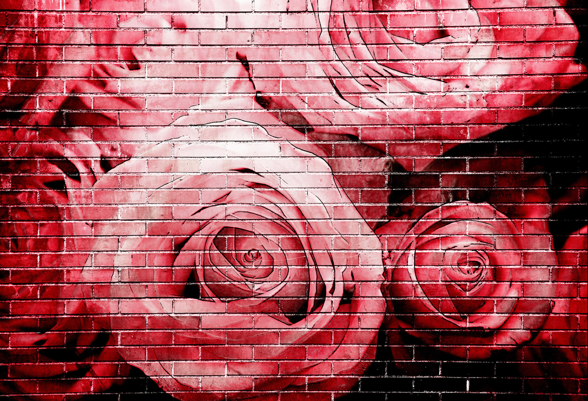 Schilderij - Rode rozen op bakstenen muur , Multikleur , 2 maten , Premium print afbeelding