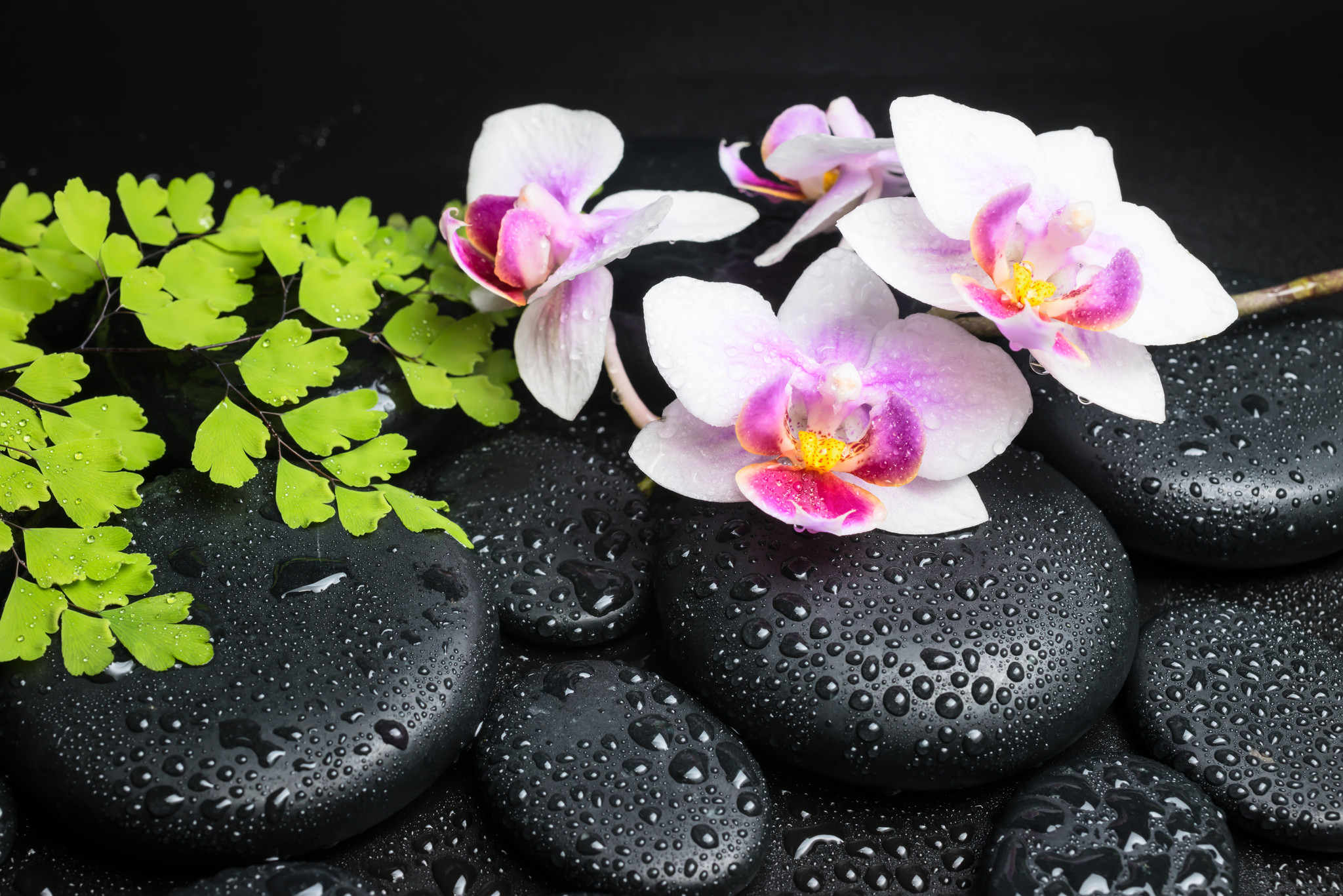 Schilderij - Zen stenen met orchidee, inspiratie , Multikleur , 2 maten , Wanddecoratie afbeelding