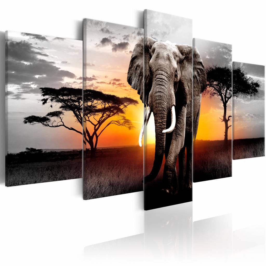 Schilderij - Olifant voor Zonsondergang , grijs oranje , 5 luik, premium print op echt Italiaans canvas, dieren, Wanddecoratie