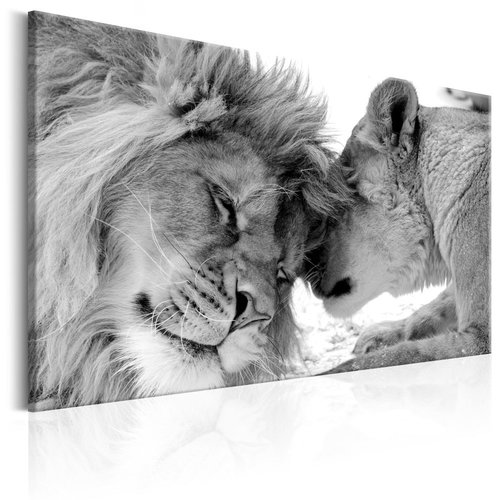 Schilderij - Leeuwen liefde in zwart wit, Dieren, print op echt Italiaans canvas, Prachtig aan de muur, eyecatcher, wanddecoratie