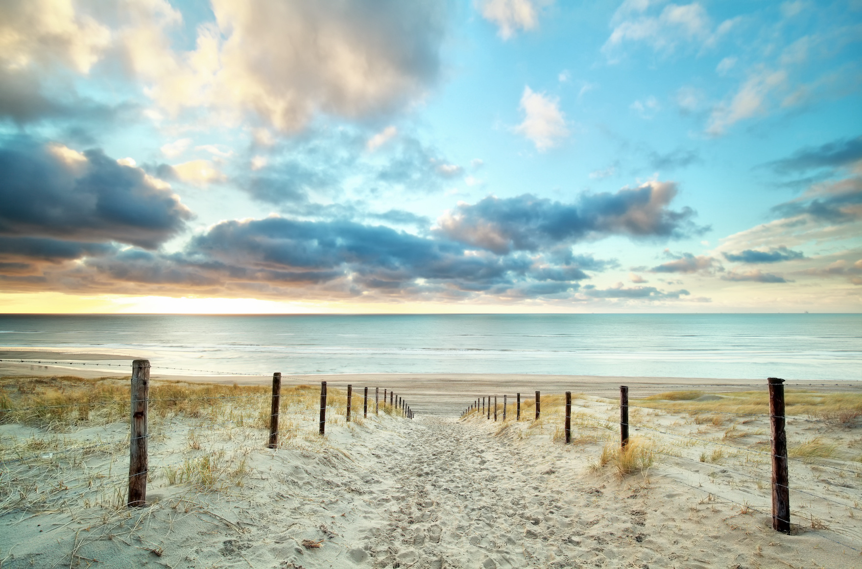 Schilderij - Duik in de Noordzee, Multikleur , 2 maten , Wanddecoratie, Premium print afbeelding