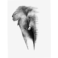 Karo-art Schilderij - Olifant op witte achtergrond, Grijs wit , 2 maten , Premium print, Wanddecoratie