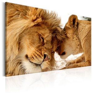 Schilderij - leeuwen liefde in kleur, print op echt Italiaans canvas, 3 maten, bruin, eyecatcher in de woning
