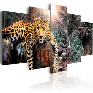 Schilderij - Luipaard, 5 luik, print op echt Italiaans canvas, dieren, natuur, in 2 maten, wanddecoratie