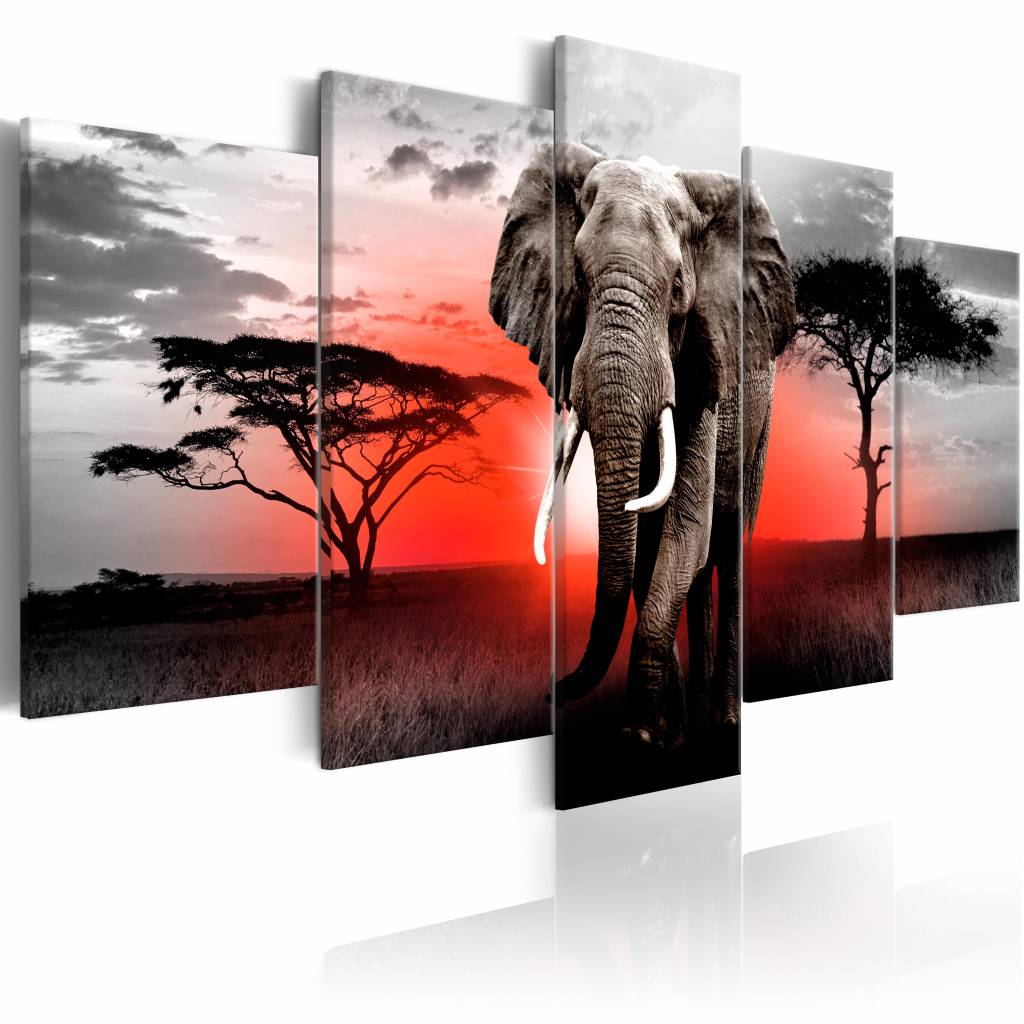 Schilderij - Eenzame Olifant , rood grijs , 5 luik, print op echt Italiaans canvas, Afrika, Dieren, wanddecoratie