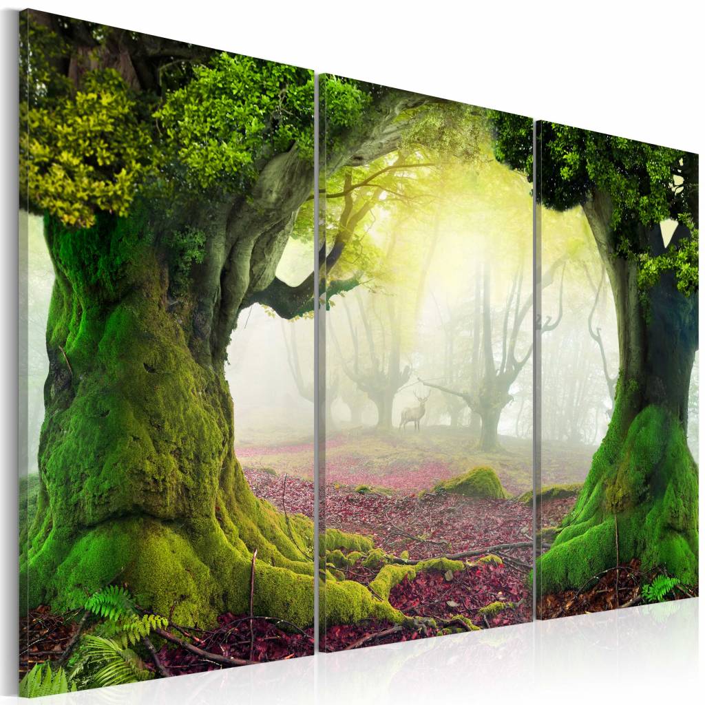 Schilderij - Mysterieus Bos, 3luik , groen , premium print op echt Italiaans canvas, wanddecoratie, 