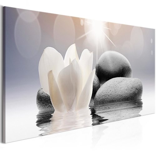 Schilderij - Waterlelie en stenen, print op echt Italiaans canvas, Zen moment, voor woonkamer, slaapkamer en praktijkruimte