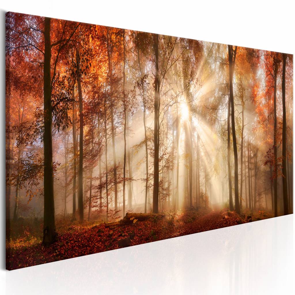 Schilderij - Herfst ochtend , boom, zie de zon schijnt....print op echt Italiaans canvas, in 3 maten, natuur