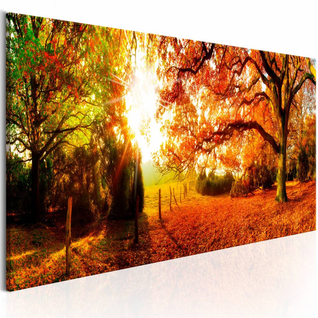 Schilderij - Magie van Herfst , boom, print op echt Italiaans canvas, prachtige natuur, in 3 maten, 