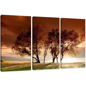 Karo-art Schilderij - Natuur, 3 luik, 150x90cm