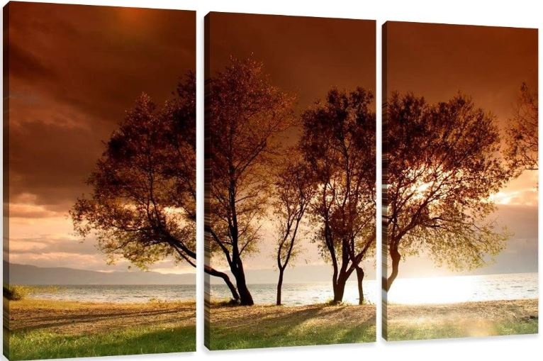 Schilderij - Natuur, 3 luik, 150x90cm afbeelding