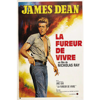 Poster-James Dean-La Fureur de Vivre,1955, Originele Filmposter, Premium Print, Professioneel Fotopapier Karo-art Poster-James Dean-La Fureur de Vivre,1955, Originele Filmposter, Premium Print, Professioneel Fotopapier