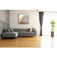 Karo-art Schilderij - Binnenkant schelp  , 3 Maten, Premium print   - 80x80cm