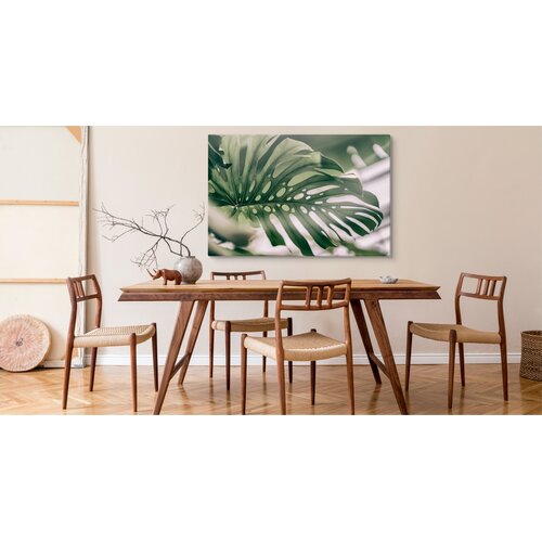 Schilderij - Close up Monstera Blad, Groen, Premium Print