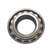 Ring cylinder bearing rear axle