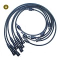 Ignition Wires 220SE, Seb