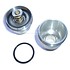 Cooling water regulator (thermostat) 170s