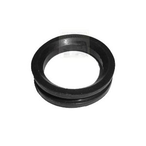 Sealing ring (large) wishbone